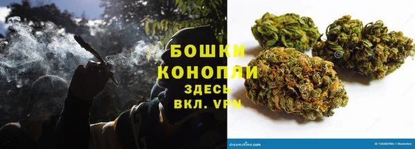 тгк Сатка