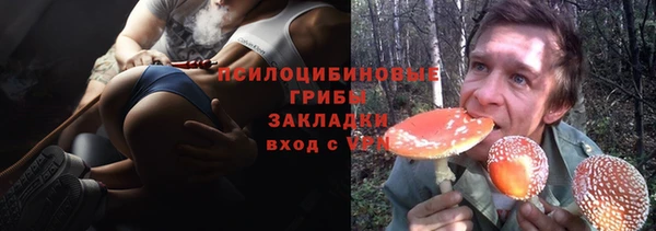 соль ск Ростов